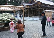 七五三の宮参りも