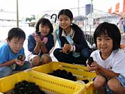 県が開発した「にいがた地鶏」を手のひらに載せてにっこりの子どもたち