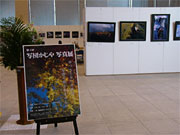 27日まで三条・燕地域リサーチコアで開かれている第4回写団かじや写真展