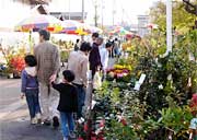 歴史民俗産業資料館そばの植木の露店