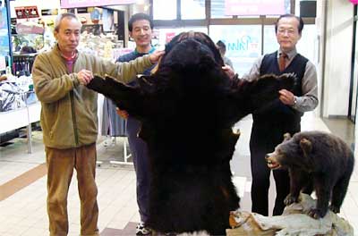 チャリティーオークションにかけるクマの敷物と三条よってけ祭り実行委員
