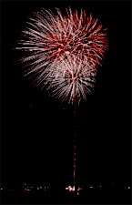 昨年の除夜の花火