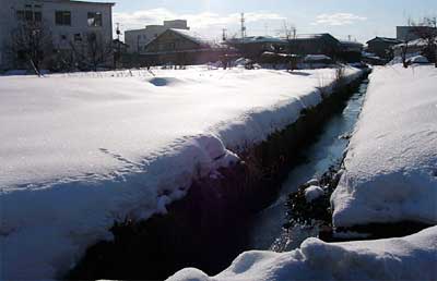 10日午前8時56分の三条市林町2地内、用水路の縁に残る足跡はしみわたりの跡か