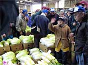 初競りで活気を取り戻した市場