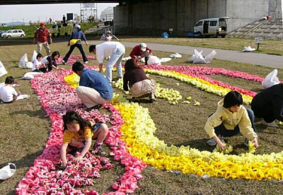 29日、燕市大曲河川公園で行われた花絵制作