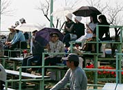 日傘の目立った応援席