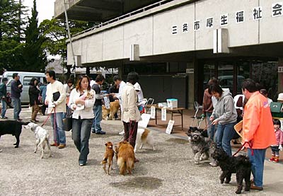 19日、三条市厚生福祉会館で行われた狂犬病予防注射