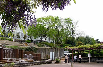 13、14日と春の保内公園まつりが開かれる保内公園