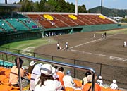 ピーカンの市民球場で応援も汗だく