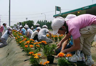 花の苗を植える燕西小児童