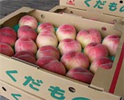 段ボール箱に納まって出荷を待つばかりのモモ