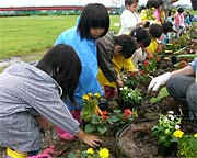 花の苗を植える三条保育所年長児