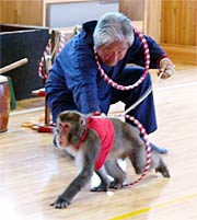 芸を披露する安登夢くん