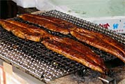 見ているだけでスタミナがつきそうなこんがり焼けたヤナギのかば焼き