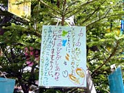 モミの木に下げた短冊