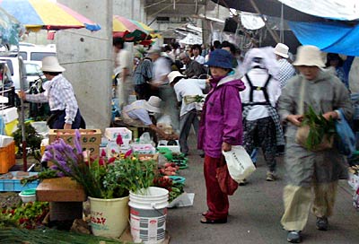 12日開かれた三条中央市場の盆市