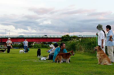 16日夕方、イヌの散歩でちょっとしたにぎわいの三条市・六ノ町河川緑地