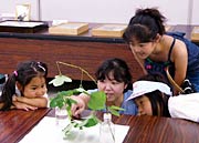 ドキドキ昆虫館で標本などに目をくぎ付けにする子どもたち