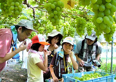 9日行われた大島園芸振興協議会「おおじまハッピーフルーツウオークラリー」