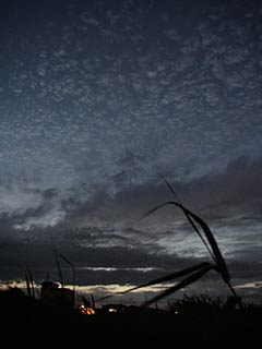 2日午後6時49分、燕市大曲河川公園から見た北の空のひつじ雲