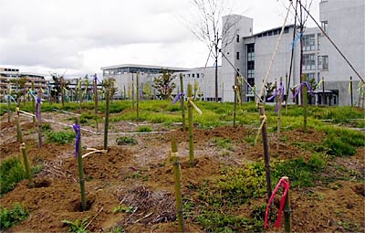 30日に第1回植樹祭が行われる三条高校の「県民の森」