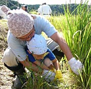 お父さんに手伝ってもらってかまで「えいっ!」
