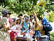 チェックポイントでクイズに答える参加者