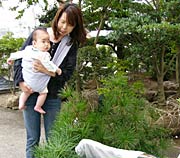 悠仁さまと同学年になる赤ちゃんを抱いてコウヤマキを品定めするお母さん。