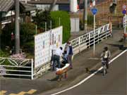 さっそくポスター掲示に走る各陣営