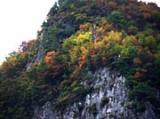 八木ヶ鼻頂上付近の紅葉