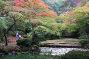 色づき始めたもみじ谷
