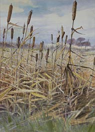 顧問の宇賀治さんの作品『枯野』(F20)