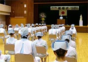 戴帽式