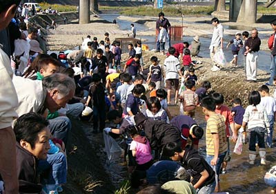 3日、加茂川穀町公園で行われた第19回加茂川鮭まつりの魚のつかみ捕り