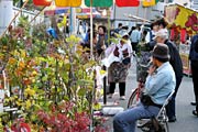 めっきり減った植木の出店