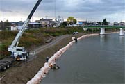 常盤橋-新大橋間の左岸で行われている作業