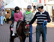 本寺小路でポニー乗馬体験