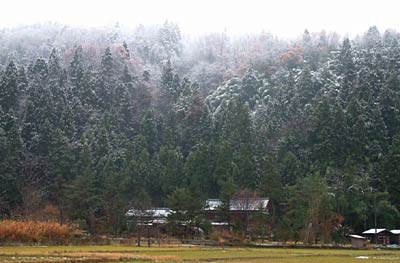 市民球場そばの下大浦地内の雪景色(午前9時25分)
