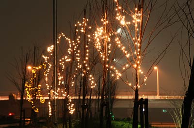 15日始まった燕市大曲河川公園のイルミネーション