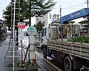 燕市・中央橋そばで傾いたヒマラヤスギの応急処置