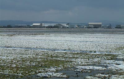 午前9時35分の栗林地内の雪で白くなった水田