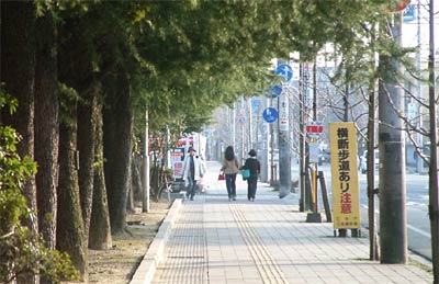 4日、ぽかぽか陽気の下、三条市役所前通りを歩く市民