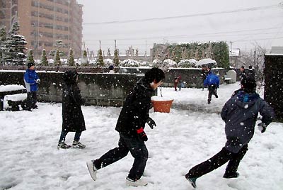 7日、三条市役所の市民広場で雪合戦する子どもたち