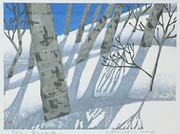 「雪のぶな林」