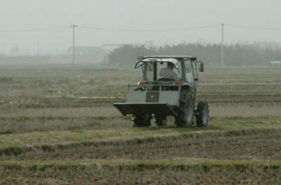 黄砂で景色がかすみ、ふつうははっきり見える弥彦山の姿も黄砂が消す加茂市横江地内