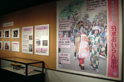 5月13日まで信濃川大河津資料館で開かれている企画展「咲き誇る大河津分水の桜」