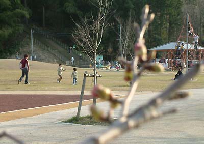 春本番の陽気で家族連れでにぎわった三条市・槻の森運動公園芝生広場