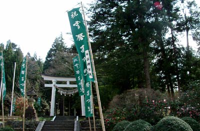 14日に第41回雪椿まつりの雪椿大園遊会が開かれる加茂山公園に立つ雪椿まつりののぼり旗