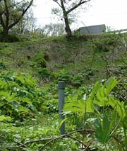基準値の4.2倍のダイオキシン類が検出された三条至道新座かの市道下の旧観測井戸