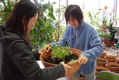 30日まで三条保内公園緑の相談所で開かれている「寄せ植えコンテスト」参加者を対象にした説明会で、素材の鉢と苗木を受ける取る参加者